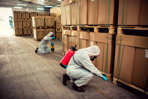Best Ant Control Services  in Santa Rosa, CA