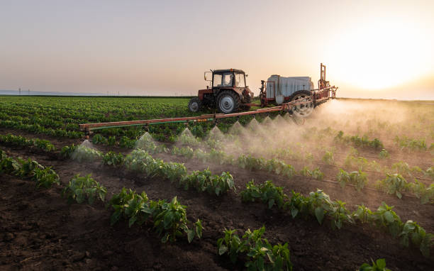 Pest Control Cost in Santa Rosa, CA