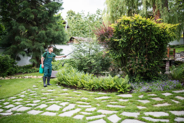 Best Emergency Pest Control  in Santa Rosa, CA