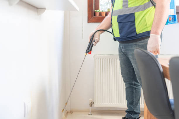Best Affordable Pest Control Services  in Santa Rosa, CA