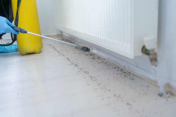 Best Exterminator Services  in Santa Rosa, CA